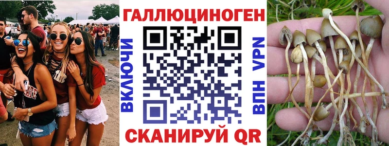 Галлюциногенные грибы Cubensis  Купить закладки  Семилуки 